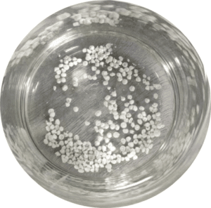kylin pellets after 30 days immersion